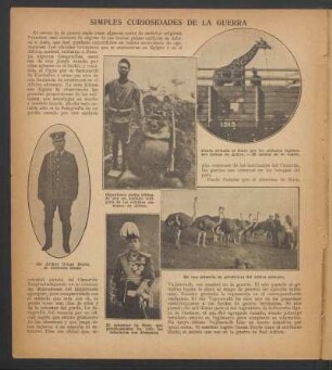 Simples curiosidades de la guerra