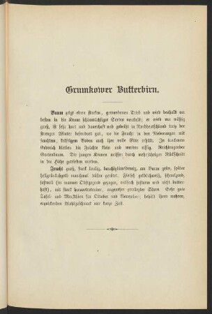 Grumkower Butterbirn.