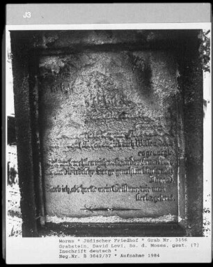 Grabstein von David Levi, Sohn des Moses Levi