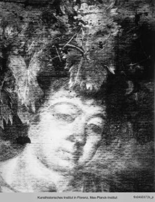 Bacchus