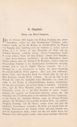6. Capitel. Flora von Mittel-Sumatra. - ...