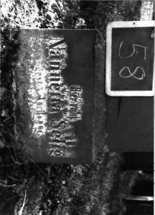 Grabstein 58 (Index: 100101001) Material: Sandstein Zustand: Stele völlig abgeblättert, nur einzelne Buchstaben erkennbar Maße HxBxT: 146x37x14 cm Beschreibung: Stele, Sockel, Abdeckplatte mit Palmettenaufsatz Symbolik: Palmette: Grabstein 58A