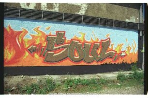 SouL
