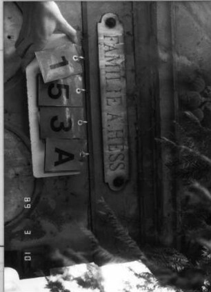 Grabstein 153 (Index: 100093738) Maße HxBxT: 248x94x39 cm Symbolik: Verzierungen Besonderheit: Doppelgrab für Eheleute: Grabstein 153A