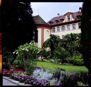Insel Mainau: Palmen an der Schlosskapelle