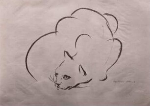 Lauernde Katze