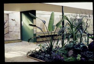 Zoo Neues Vogelhaus 2.3.63.