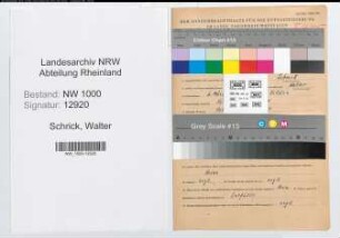 Entnazifizierung Walter Schrick, geb. 06.03.1908 (Bankangest.)