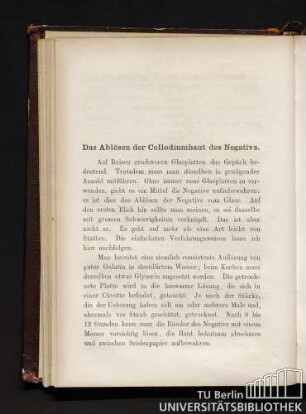 Das Ablösen der Collodiumhaut des Negativs