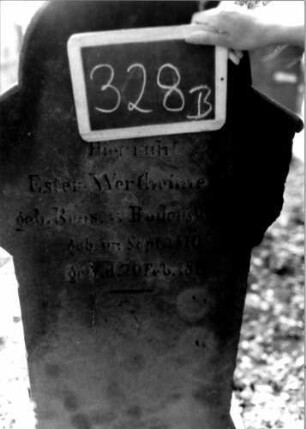 Grabstein 328 (Index: 100111962) Material: Sandstein Zustand: gut Maße HxBxT: 150x62x28 cm Beschreibung: ädikulaartige Stele mit 3/4-Säulen, profilierter Sockel, schräg eingezogener Rundbogenabschluß mit Verdachung, Schriftfeld eingetieft mit Rundbogenabschluß Symbolik: Ranken, Rundbogenfries: Grabstein 328B