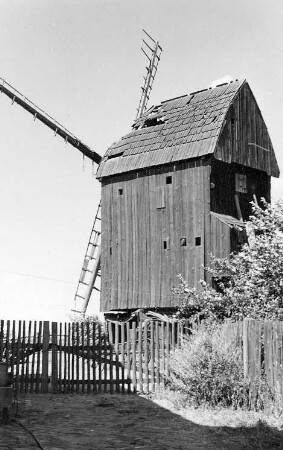 Bad Düben-Tiefensee. Mühle Sommerfeld, Bockmühle