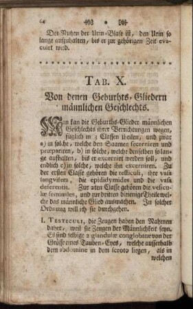 Tab. X. Von denen Geburhts-Gliedern männlichen Geschlechts.