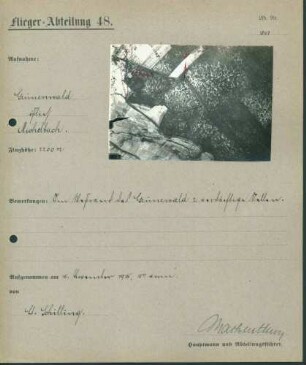 Foto der Stellungen im Grünenwald östlich von Michelbach (Luftbild)