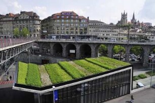 Lausanne - Grüne Architektur : Das Betondach einer Metrostation im Zentrum ist völlig begrünt worden. Aufgenommen in Lausanne am 19. Mai 2010