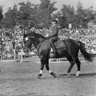 Moritzburger Hengstparade. Reiter in Uniform beim Vorführen verschiedener Gangarten