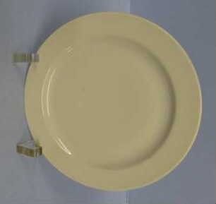 Teller aus dem Porzellanservice "Arzberg 1382"