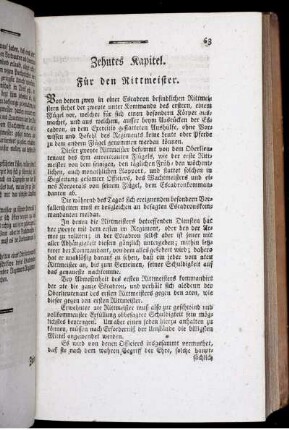 Zehntes Kapitel. Für den Rittmeister