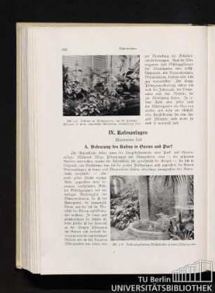 A. Bedeutung des Rasens in Garten und Park