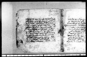 al- Qurʾān [DAM 12-8.2]