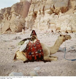 Wanderung, Aufbruch - Sinai - Familie Salem