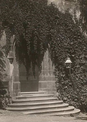 Rochlitz. Schloss, Portal mit wildem Wein (Gewöhnliche Jungfernrebe - Parthenocissus vitacea)