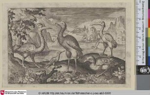 [Ein Reiher und vier Vögel; A Heron and four Birds]