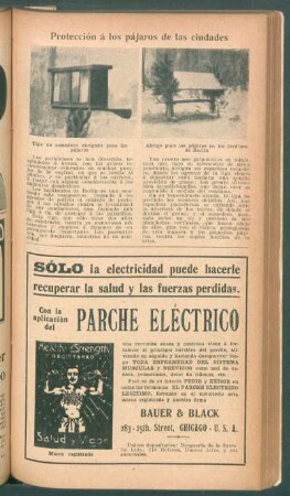 Protección á los pájaros de las ciudades