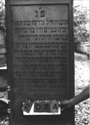Grabstein 202 (Index: 99609838) Material: Sandstein Zustand: leicht verwittert Maße HxBxT: 240x64x35 cm Beschreibung: Stele, Abdeckplatte, Giebelaufsatz mit Mittel- und Seitenakroteren, Palmettenaufsatz, Schriftfeld eingetieft, Sockel Symbolik: Mohnkapseln, florale Elemente: Grabstein 202A