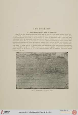 II. Die Inschriften (A. Rehm)