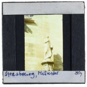 Straßburg, Münster,Graß, Sabina von Steinbach (1864)