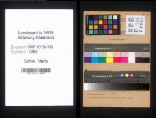 Entnazifizierung Maria Schiel , geb. 19.09.1907 (Witwe)