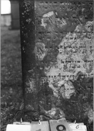 Grabstein 19 (Index: 100089987) Material: Sandstein Zustand: zerbrochen und repariert, abgeblättert am unteren Rand, leicht verwittert Maße HxBxT: 84x57x14 cm Beschreibung: Stele mit zweigeteiltem, geschwungenem Rundbogen: Grabstein 19C