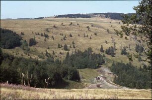 Am Markstein / Le Markstein