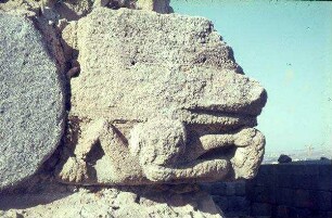 Sidon, Schloß am Meer Kapitell (Mensch, Engel?)