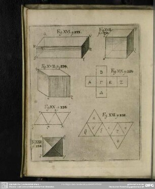 [Fig. XVI-XXI]