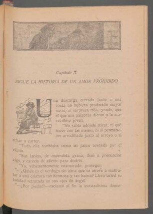 Capítulo X - Sigue la historia de un amor prohibido