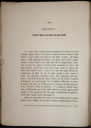 Sezione I. Insetti Nocivi All' Olivo Ed Alle Olive.