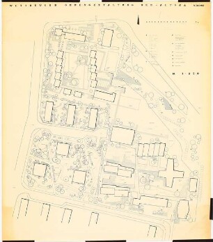 Wettbewerb Grüngestaltung Neu-Altona, Hamburg: Lageplan mit Pflanzplan Aufgabengebiet A 4 1:250