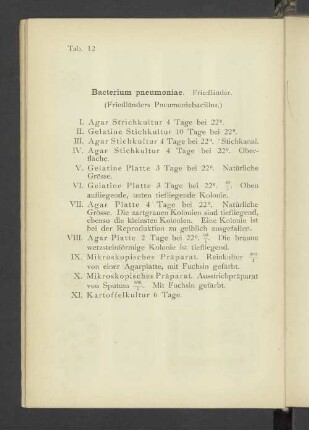 Tab. 12 Bacterium pneumoniae