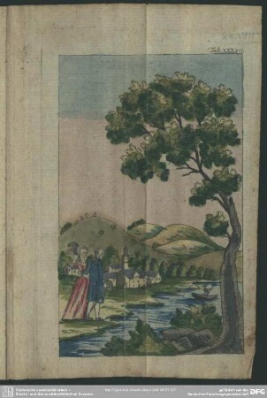 Tab.XXXVII