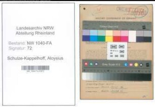 Entnazifizierung Aloysius Schulze-Kappelhoff , geb. 31.08.1911 (Landwirt)