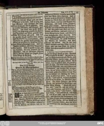 Das XVII Capitel.