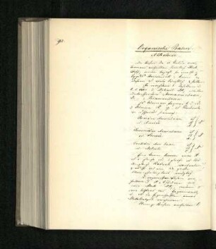 Organische Basen, Alkaloide