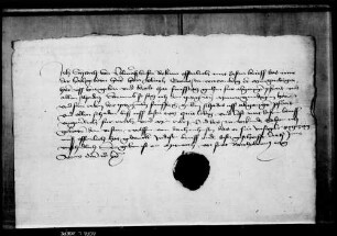 Sittich von Volmarshausen quittiert über 50 fl. für abgegangene Pferde.