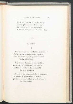 IX - El colibrí