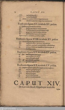 Caput XIV. De Cervicis Dorsi, Capitisque musculis