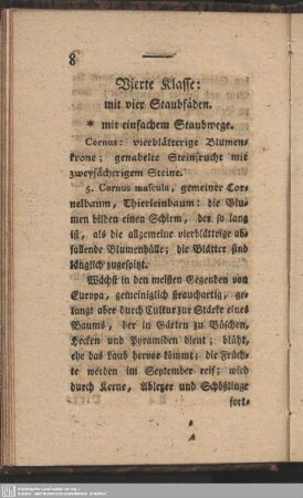 Vierte Klasse: mit vier Staubfäden