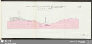 XVI. Geological sketch-section through Salisbury Reef - Salisbury Goldfield