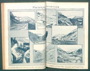 Paisajes andinos - [Ilustración]