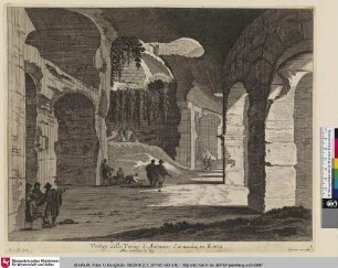 Vestigi delle Terme di Antonio Caracala, in Roma